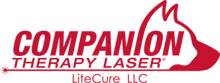 laser logo